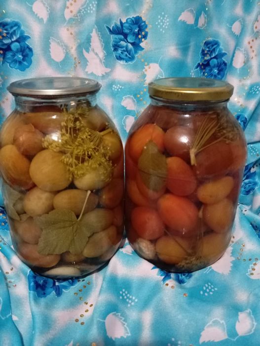 Соленые помидоры