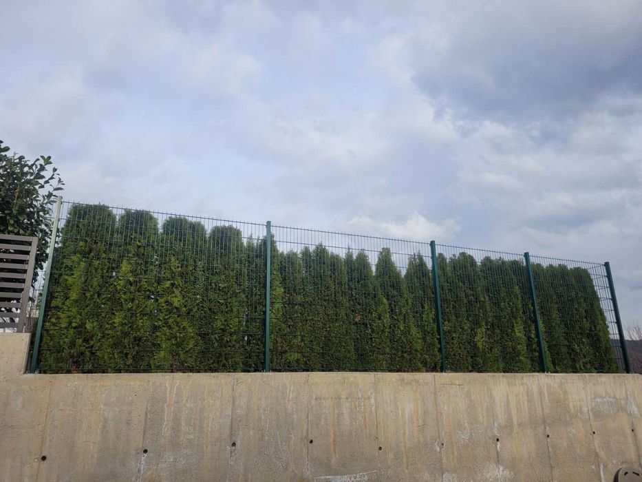 PREMIUM Оградни пана 2D и колове (Немски стандарт) - Зелен / Антрацит