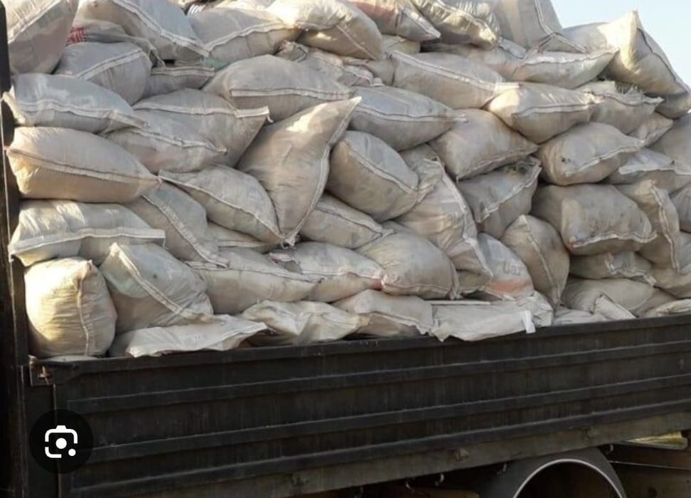 Facem curat în curți și becuri