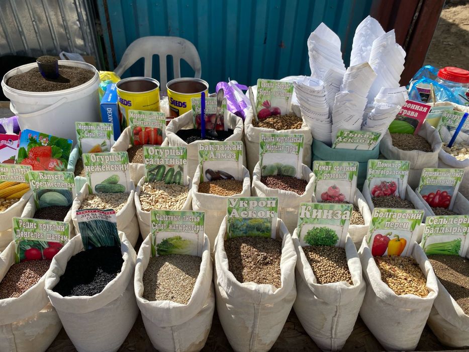 Семена Разного Вида Все Сорты имеются