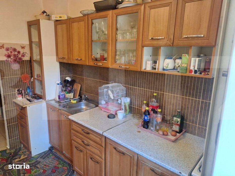 Apartament 2 camere de vanzare, 67 mp, decomandat, etaj 1, Logoj