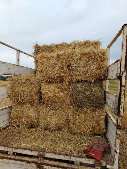 Бидай Саманы сатылады