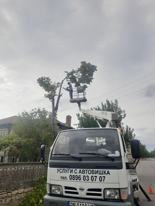 Рязане и кастрене на опасни дървета