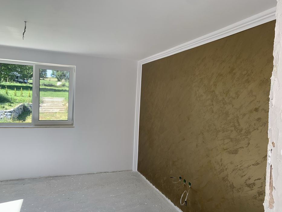 Vand casa 210mp in paniceni