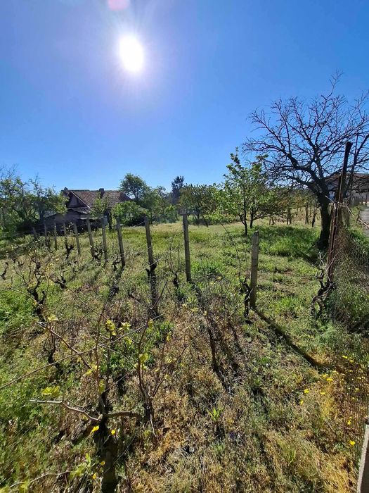 Продава се Парцел в Варна, Автогара - 1040 кв.м за 125 €/кв.м - Снимка #1