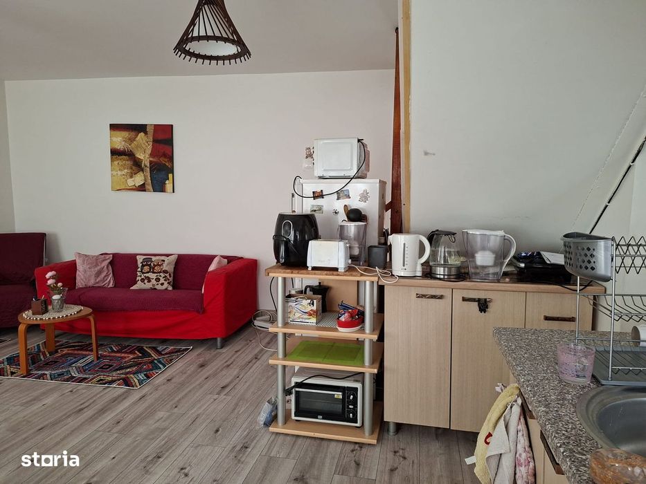 Drumul Taberei, Raul Doamnei