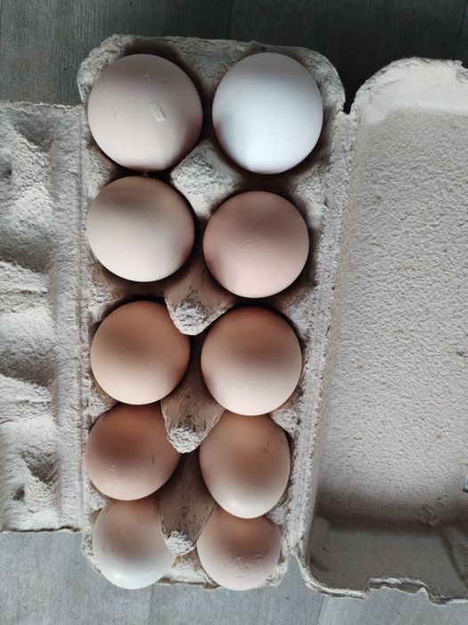 Oua de casa proaspete