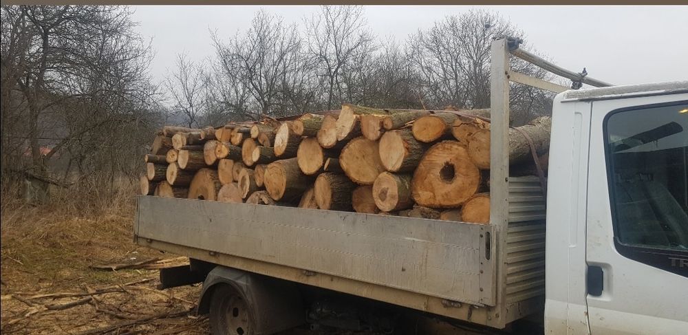 Lemn de foc esența tare fag