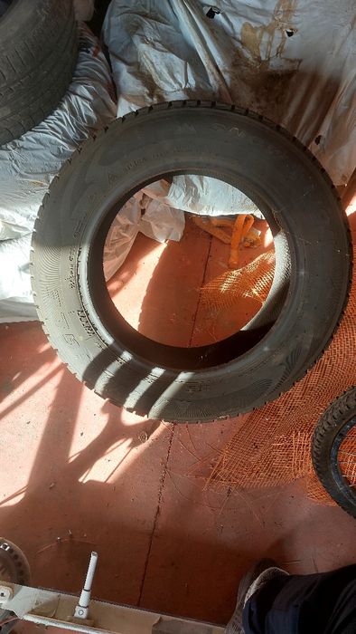 Шины зимние бууу