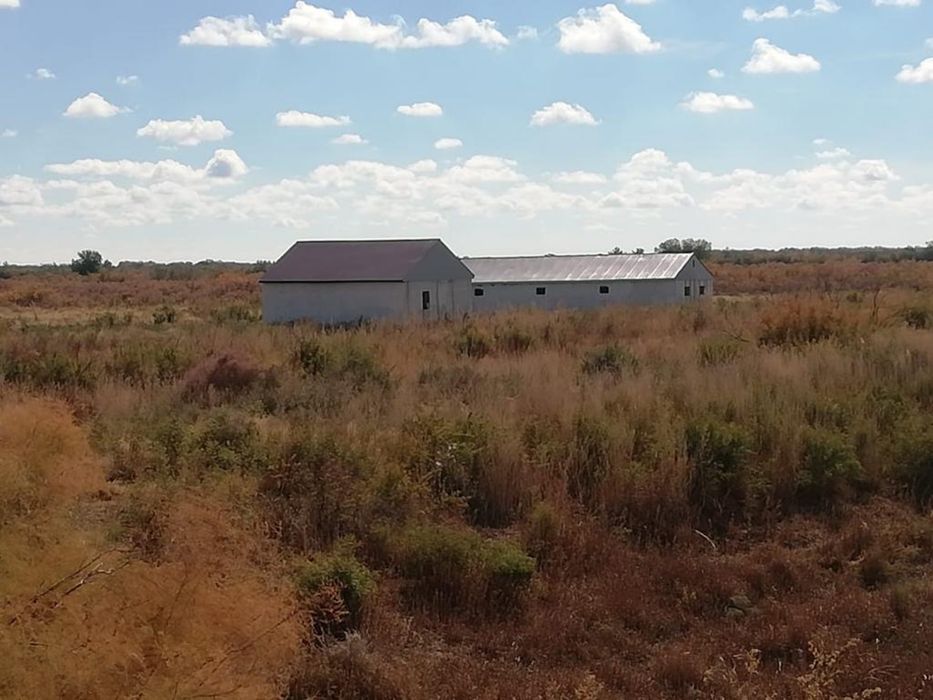 Продам фазенду!!!