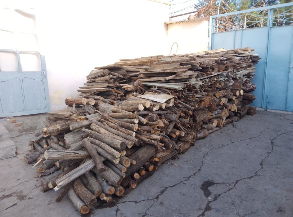 Yoqishga tayyor oʻtin !!!