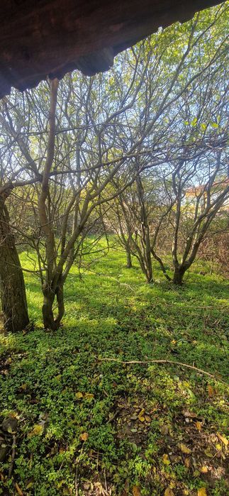 Къща в село Гарваново