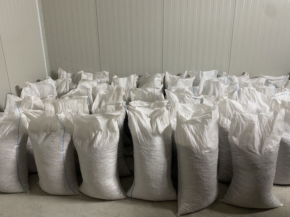 Vand 500kg miez de nuca Romanesc