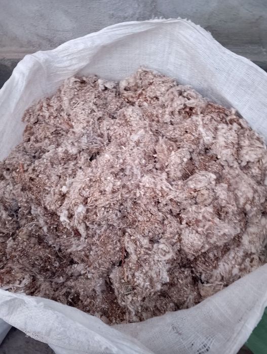 Chulug', (uluk , shulxa, chulqa) mol uchun yem