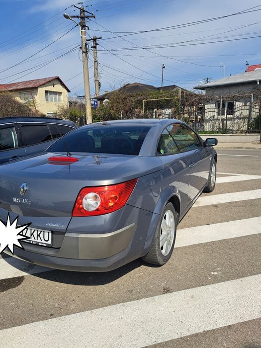 RENAUT  Megan Cabrio