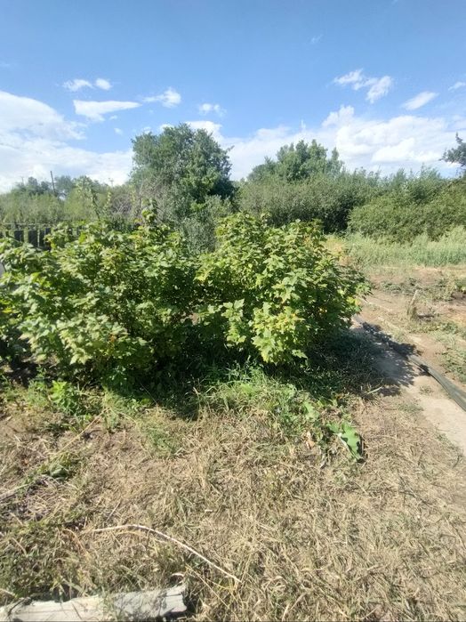 Продажа дачи в михайловке
