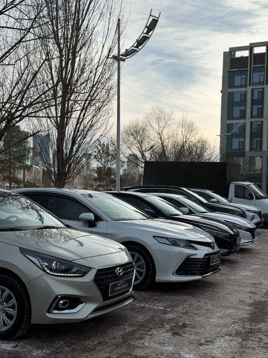 Аренда авто . Прокат авто