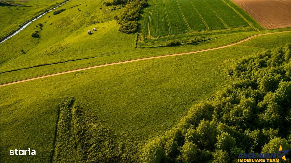 6.000 mp teren granitat de liziera compacta de padure, ecran natural d