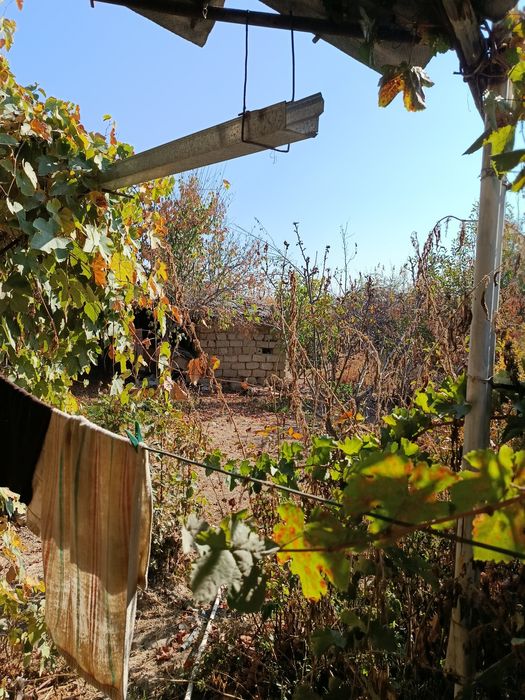 Продается дача Паркент