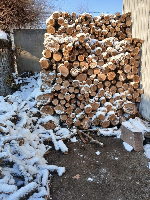 Дрова Карагач рубленные Алматы