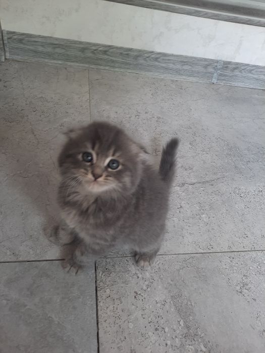 Красивое стены зделоем