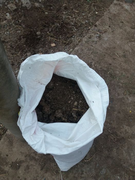 коровий навоз трёхгодичный