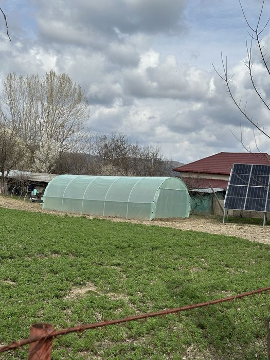 Arcade,solare legume