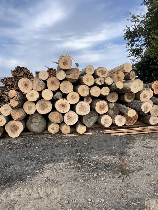 Lemn de foc  / Buștean rotund FAG