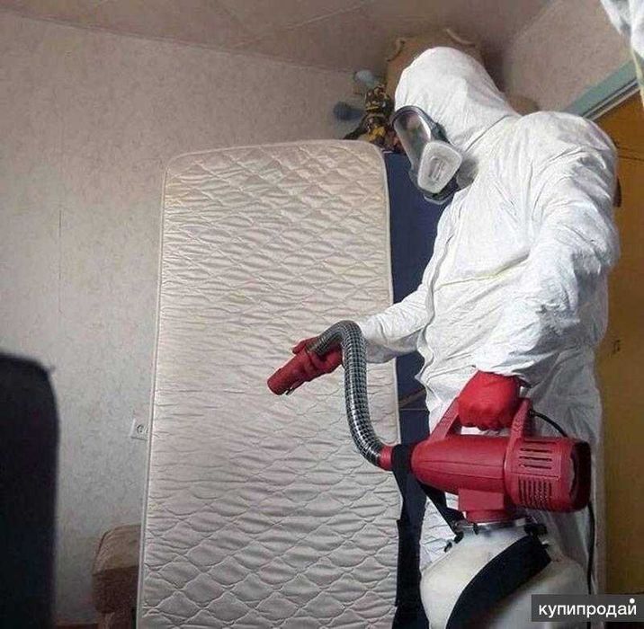 Дезинфекция Dezinfeksiya 24/7 обработка клоп, таракан, запахи, плесень