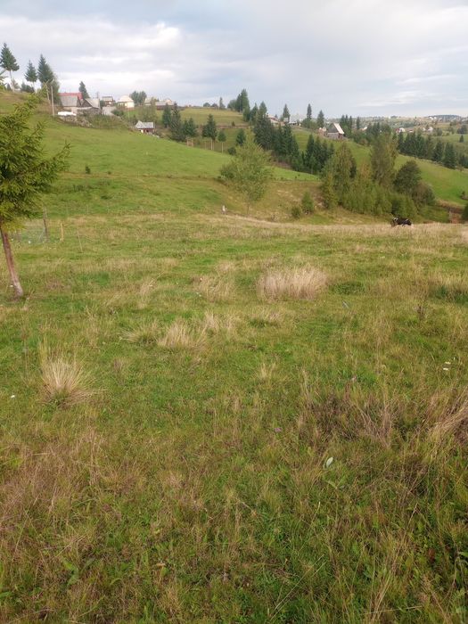 Vând teren intravilan și extravilan Sat Măguri