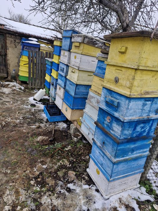 Кошери , корпуси за  ЛР 10 рамкови