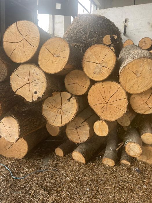 Vand lemne de foc esenta tare, frasin