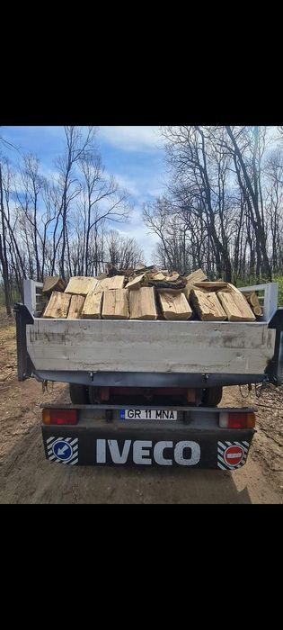 Lemne de foc Esență tare Salcâm