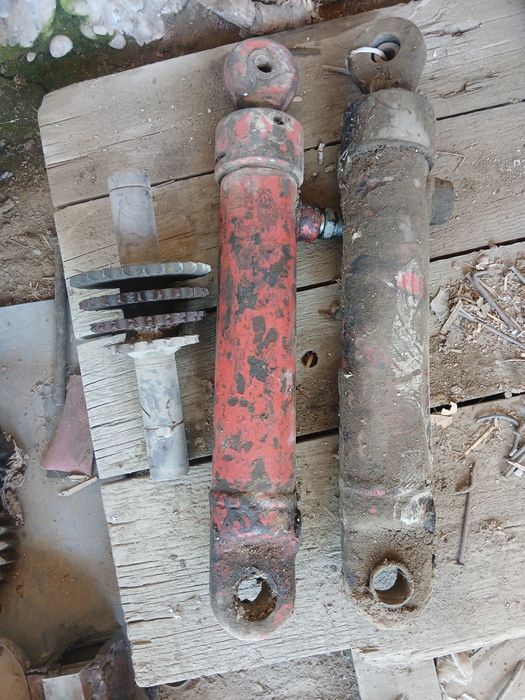 Daychi selkaga zapchaslar bor