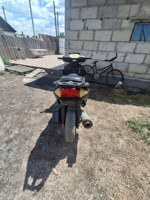 Продам рейсер стелс
