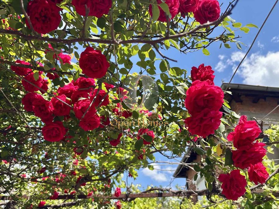 Къща с 1560 кв.м. двор в Богданица