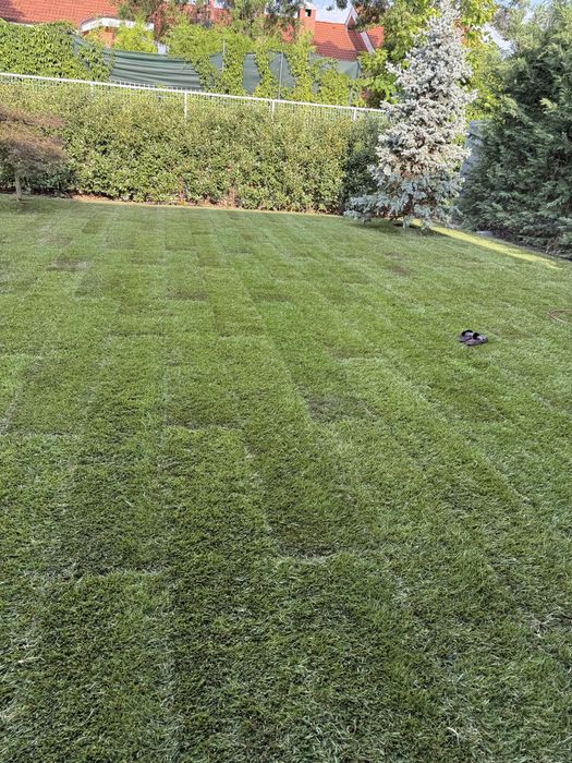 Mentenanta spati verzi Complexuri , gradini terasa private !!!