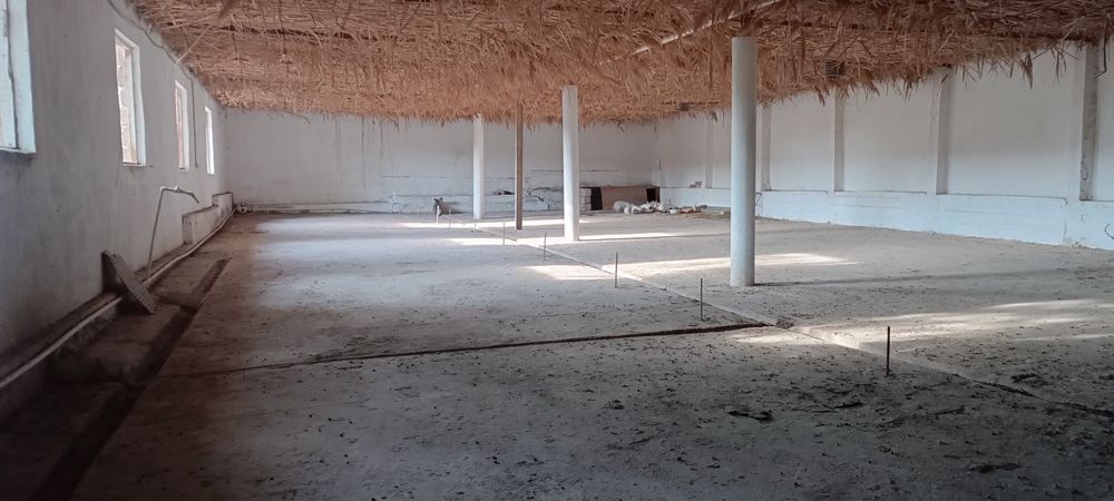 Ферма  арендага берилади мол, паранда, куй бокиш учун хамм