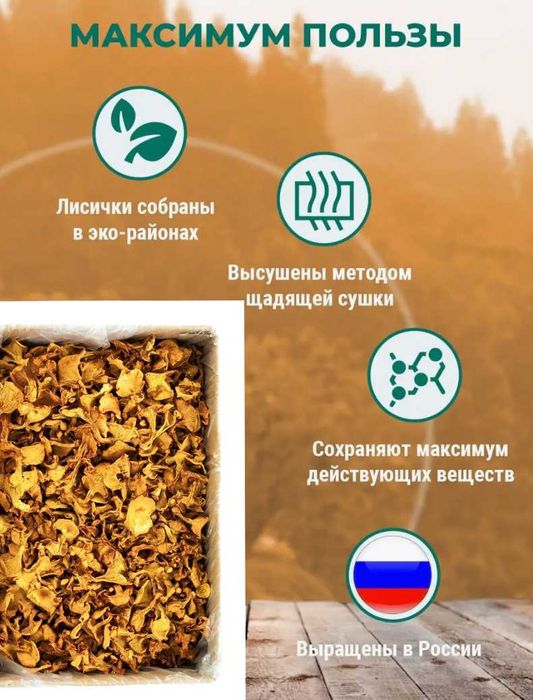 Грибы лисички | Премиум Башкирия | Цельные и молотые