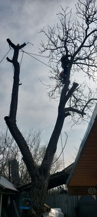 Alpinism utilitar cu experiență de peste 17 ani în domeniu!