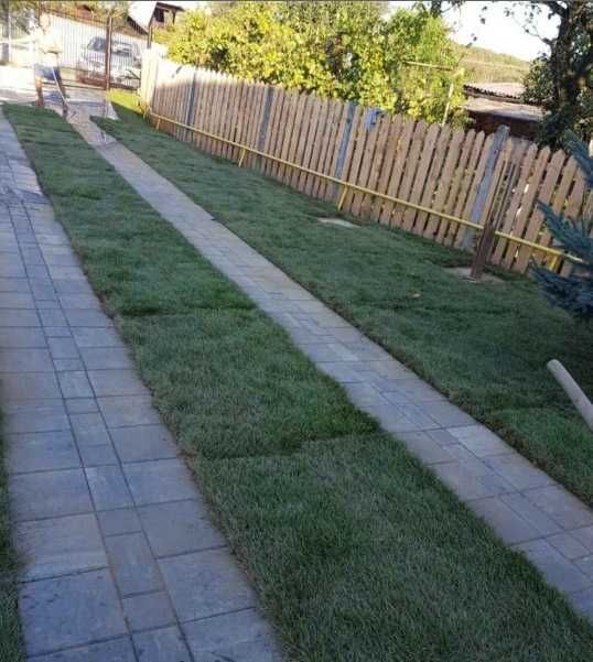 Gazon Rulou Sisteme de Irigatii