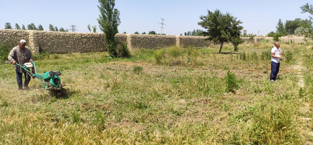 Бог килиш ер огдариш