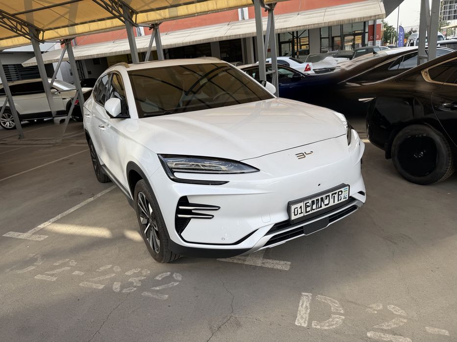 Byd chempion Restayling 2024