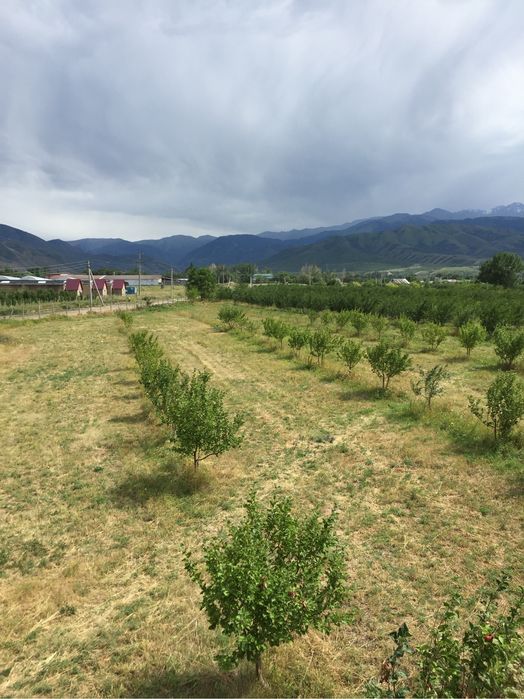 Продам участок 70 соток