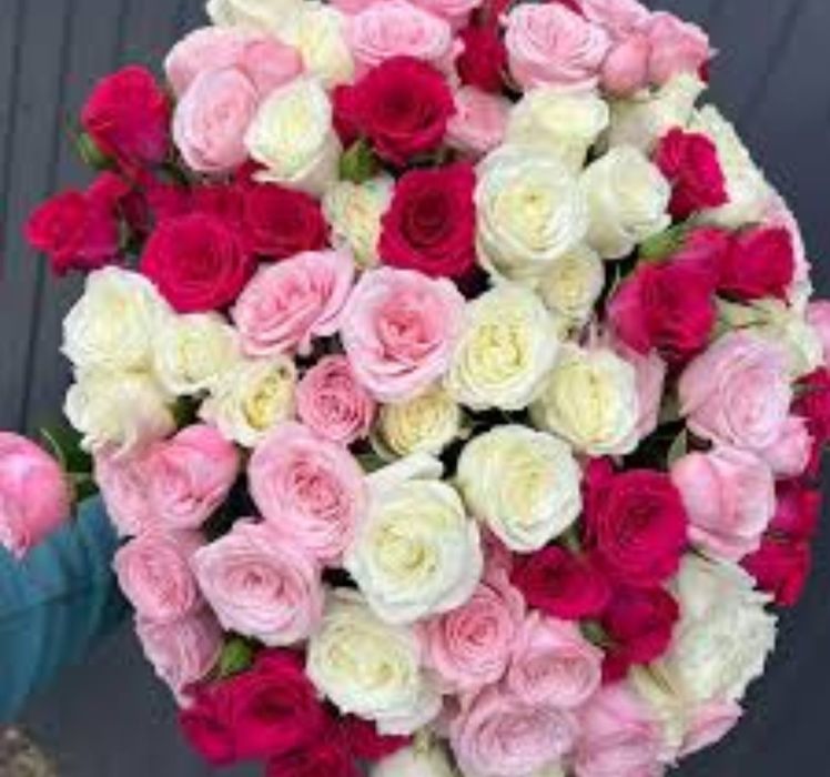 51шт Роза 12.04.26