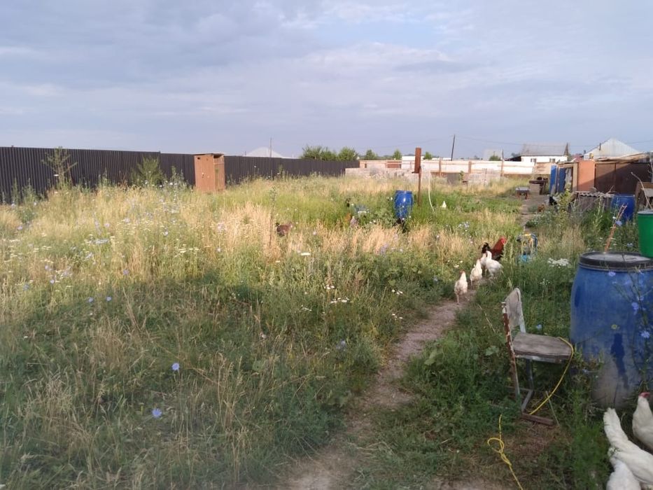 Участок КХ в Кольащи