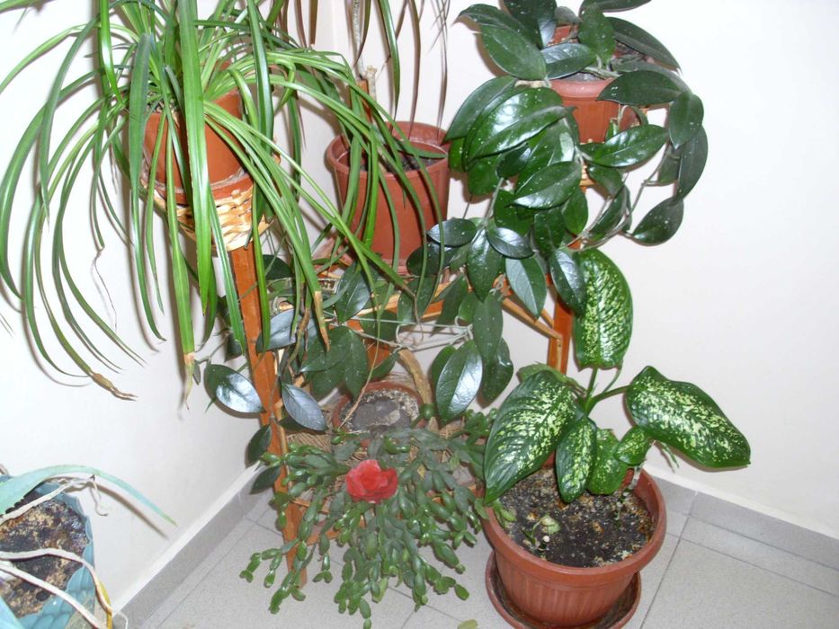 фотоапарат BenQ DC C1035 - 10.2 МРх