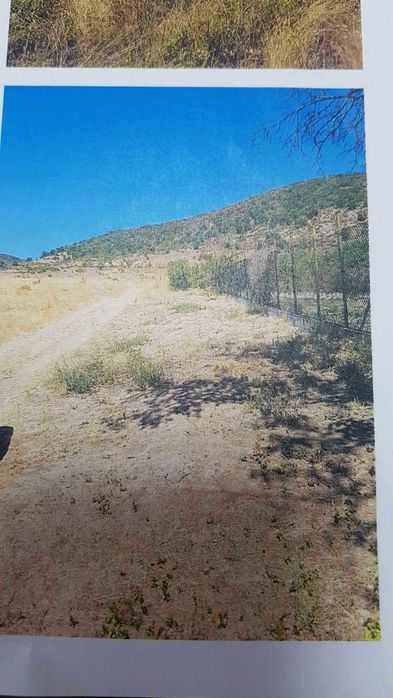 Продава се дворно място 1 648 дка в с. Оряховица