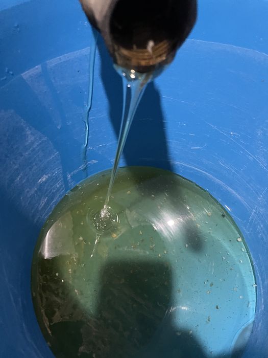 Vând miere naturală 2025