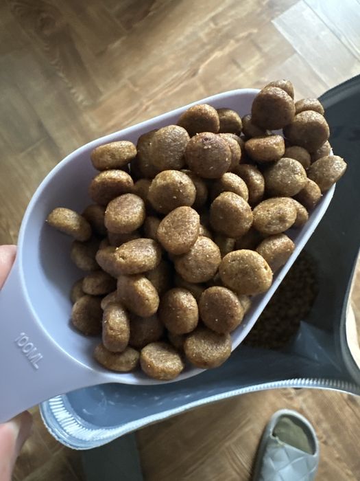 Корм для собак Grandorf